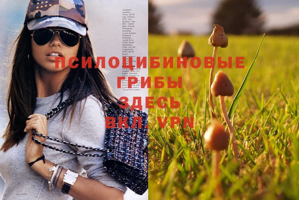 каннабис Верхний Тагил