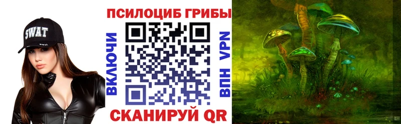 Галлюциногенные грибы Psilocybine cubensis  Гагарин 